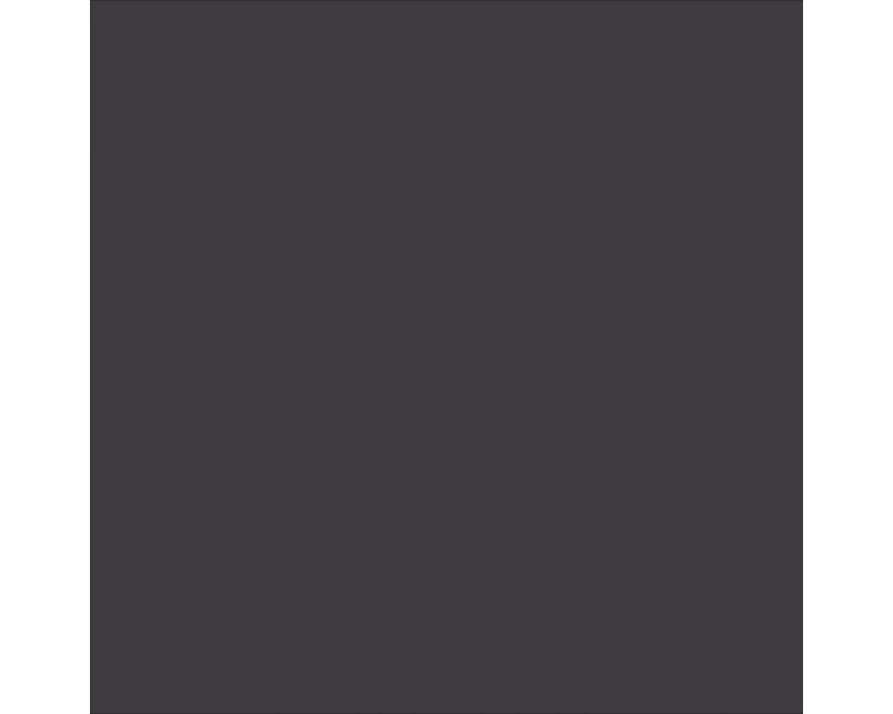 Rapid Roof III® Top Coat (Black)