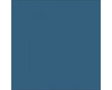 Rapid Roof III® Top Coat (Blue)