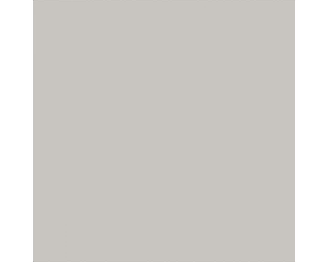 Rapid Roof III® Top Coat (Gray)