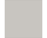 Rapid Roof III® Top Coat (Gray)