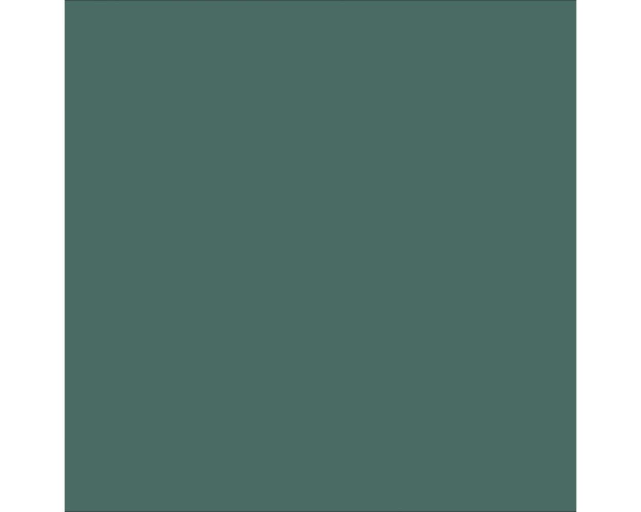Rapid Roof III® Top Coat (Green)