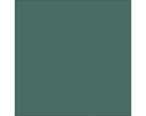 Rapid Roof III® Top Coat (Green)